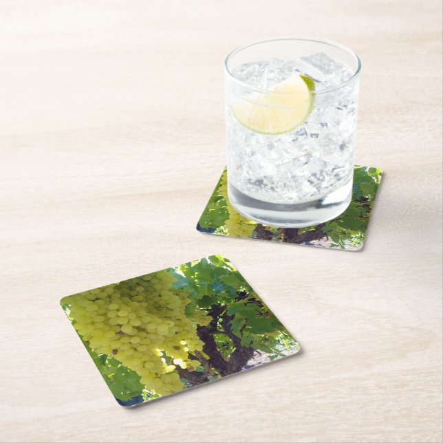 Sultana Grapes On A Grape Vine,  Square Paper Coaster (Insitu)