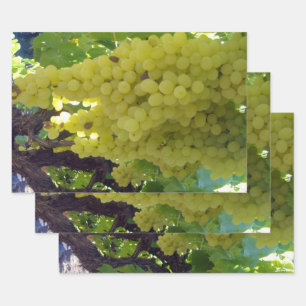 Sultana Grapes On A Grape Vine,  Wrapping Paper Sheet