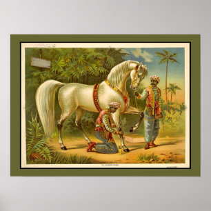 Sultans Steed RARE VINTAGE POSTER Customised