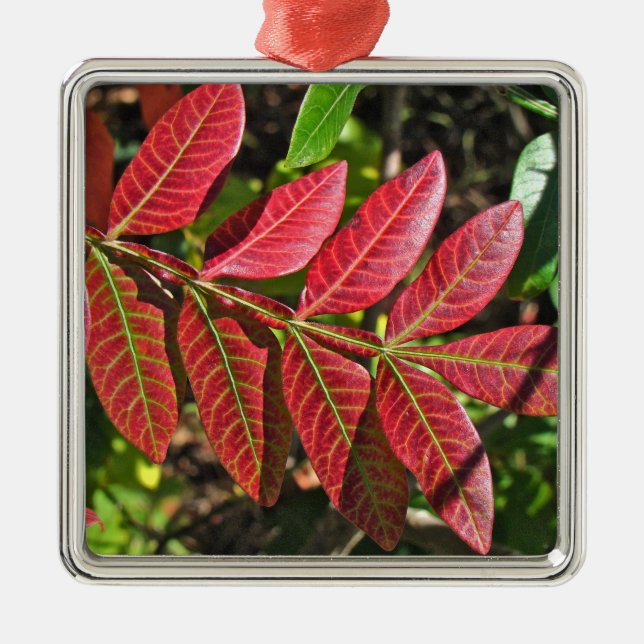 Sumac Leaves In Autumn Metal Tree Decoration (Front)