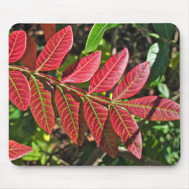 Sumac Leaves In Autumn Mouse Mat (Front)