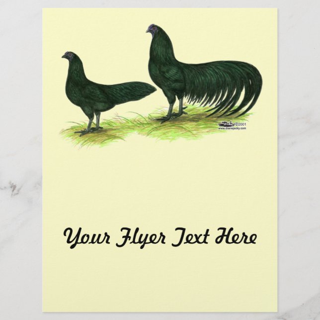 Sumatra Black Chickens Flyer (Front)