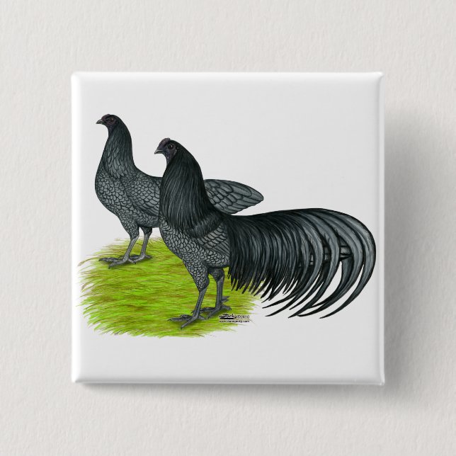 Sumatra:  Blue Pair 15 Cm Square Badge (Front)