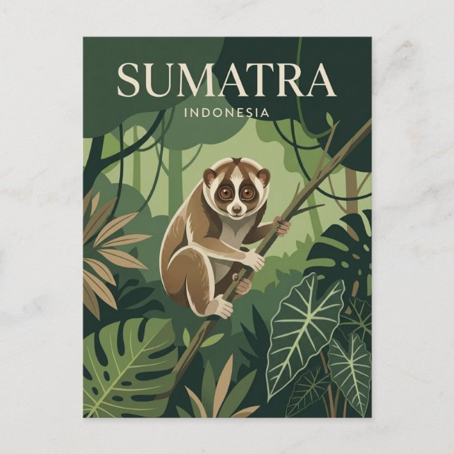 Sumatra Indonesia Postcard (Front)