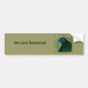 Sumatra Rooster Framed Bumper Sticker