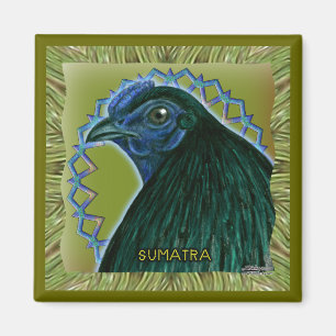 Sumatra Rooster Framed Magnet