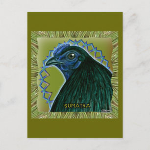 Sumatra Rooster Framed Postcard