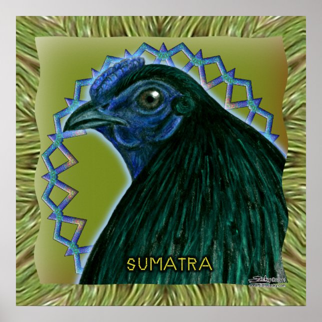 Sumatra Rooster Framed Poster (Front)