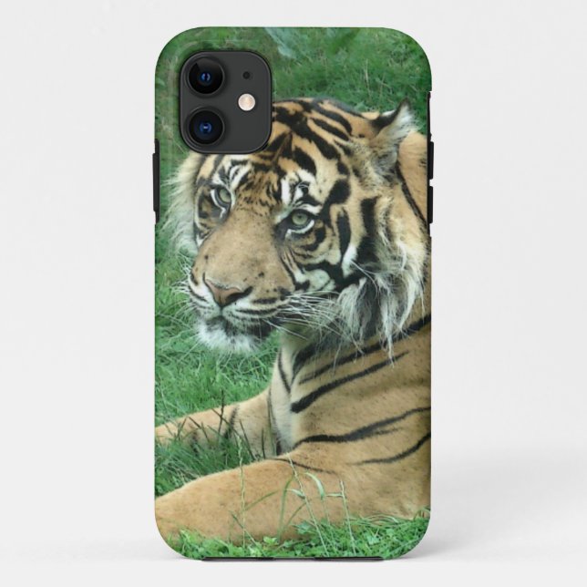 Sumatra Tiger On iPhone 5 Barely There Case-Mate iPhone Case (Back)