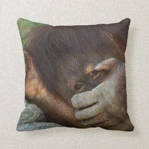 Sumatran Orangutan, Pongo pygmaeus Cushion