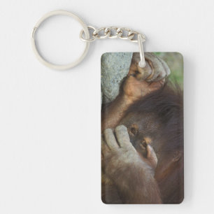 Sumatran Orangutan, Pongo pygmaeus Key Ring