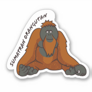"Sumatran Orangutan" Sticker