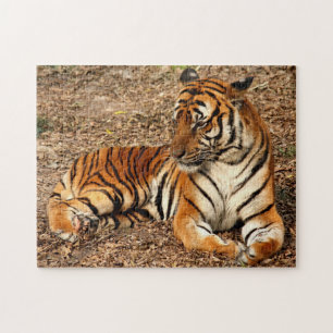 Sumatran Tiger 2 Jigsaw Puzzle