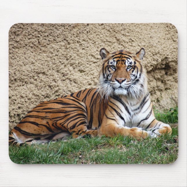 sumatran tiger 7 mouse mat (Front)