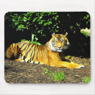 Sumatran tiger animal mouse mat