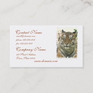 Sumatran Tiger Business Cards