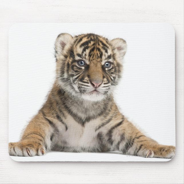 Sumatran Tiger cub - Panthera tigris sumatrae (3 Mouse Mat (Front)
