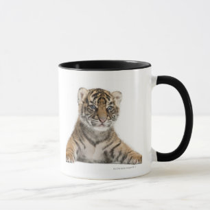 Sumatran Tiger cub - Panthera tigris sumatrae (3 Mug