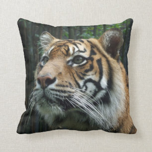 Sumatran Tiger Cushion