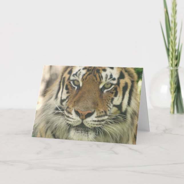 Sumatran Tiger Greeting Cards (Front)