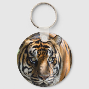 Sumatran Tiger Key Ring