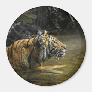 Sumatran Tiger LIGHT OF THE TIGER Magnet