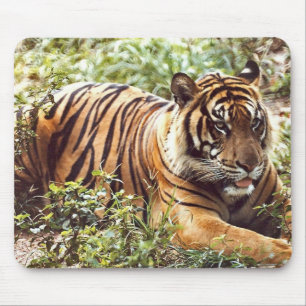 sumatran tiger mouse mat