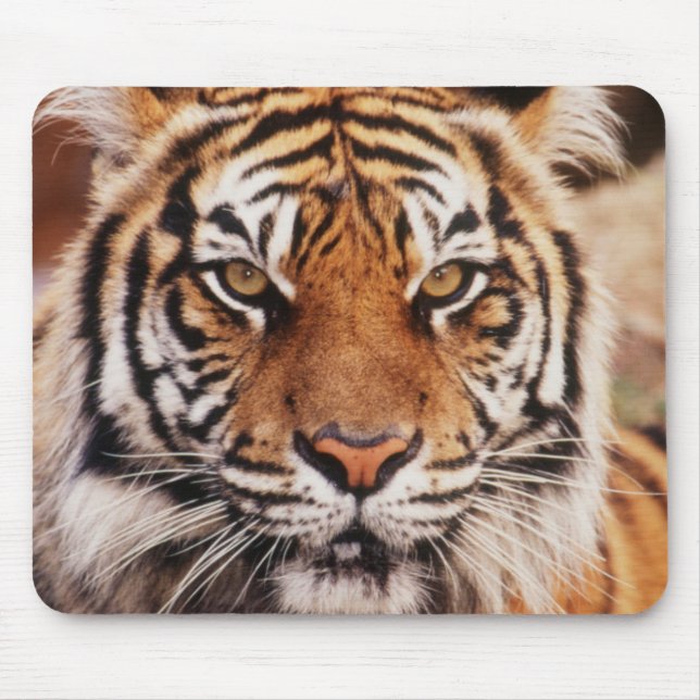 Sumatran Tiger Mouse Mat (Front)