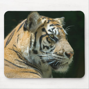 Sumatran Tiger Mousepad