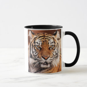 Sumatran Tiger Mug
