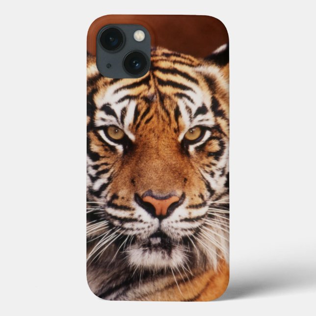 Sumatran Tiger, Panthera tigris Case-Mate iPhone Case (Back)