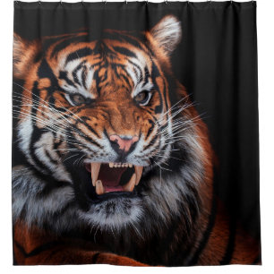 Sumatran tiger (Panthera tigris sumatrae) beautifu Shower Curtain