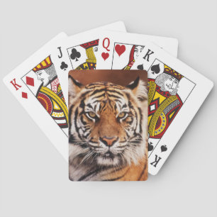 Sumatran Tiger Playing Cards