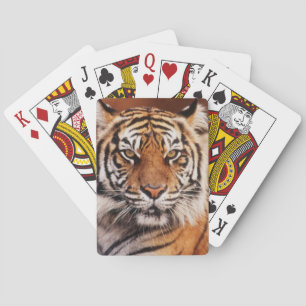 Sumatran Tiger Playing Cards