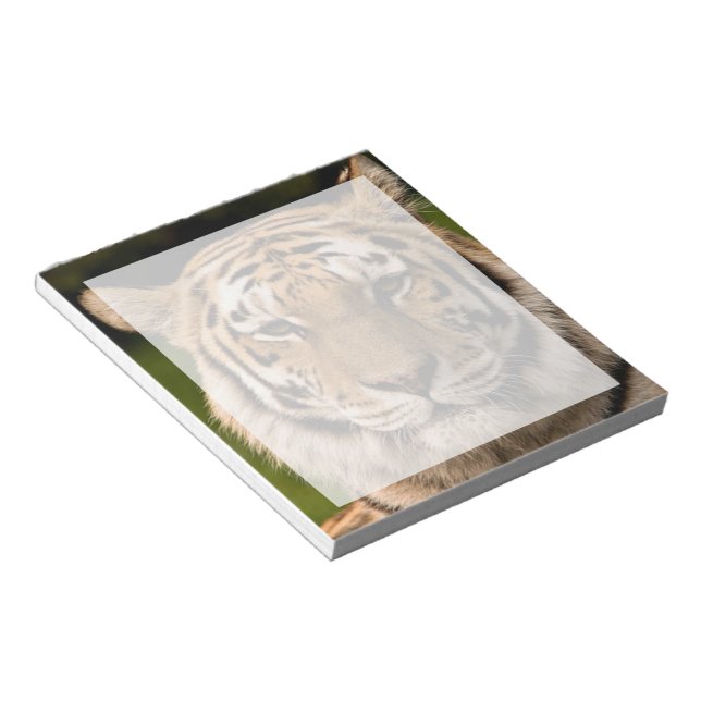 Sumatran Tiger Portrait Notepad (Angled)