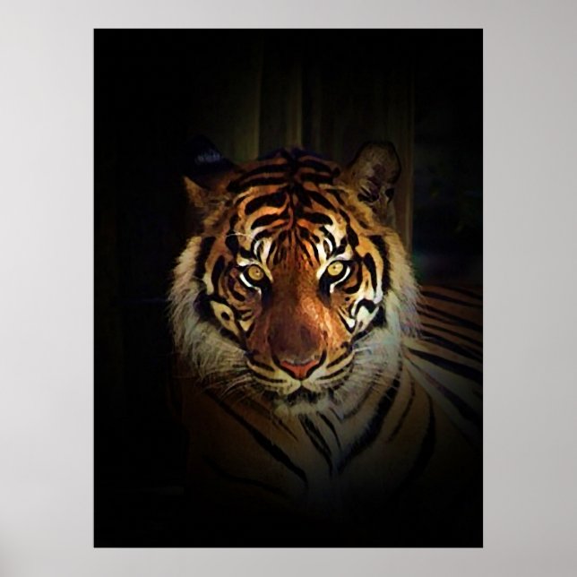 Sumatran Tiger Poster Print (Front)