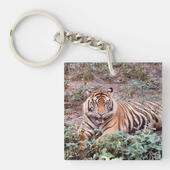 Sumatran tiger Square (double-sided) Keychain (Front)