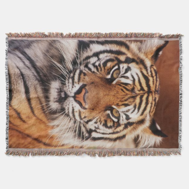 Sumatran Tiger Throw Blanket (Front)