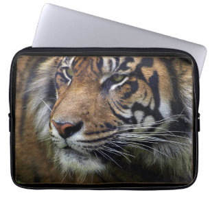 Sumatran Tiger Wild Animal Big Cat-Lover Laptop Sleeve