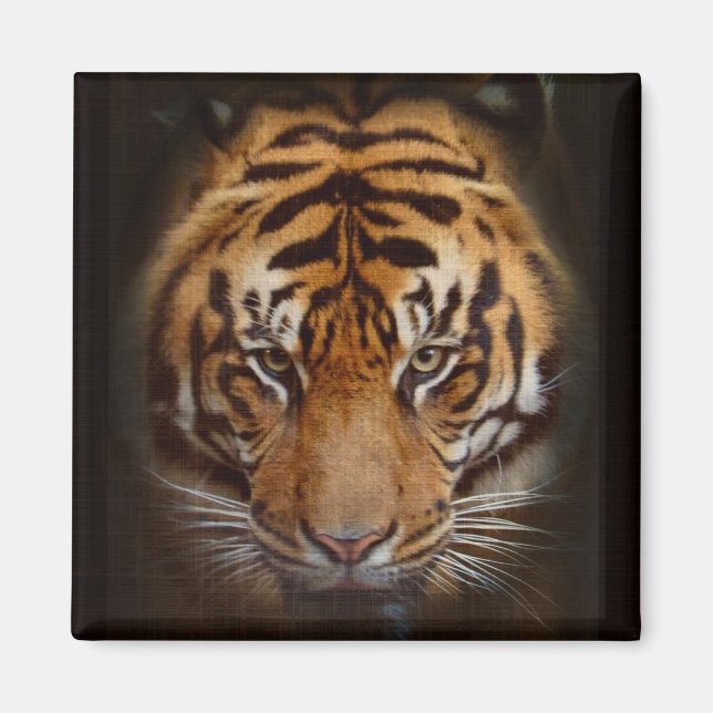 Sumatran Tiger Wildlife Big Cat Lover Photo Magnet (Front)