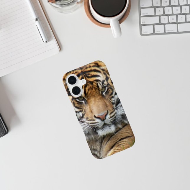 Sumatran Tiger Wildlife Photo iPhone 16 Case (In Situ)