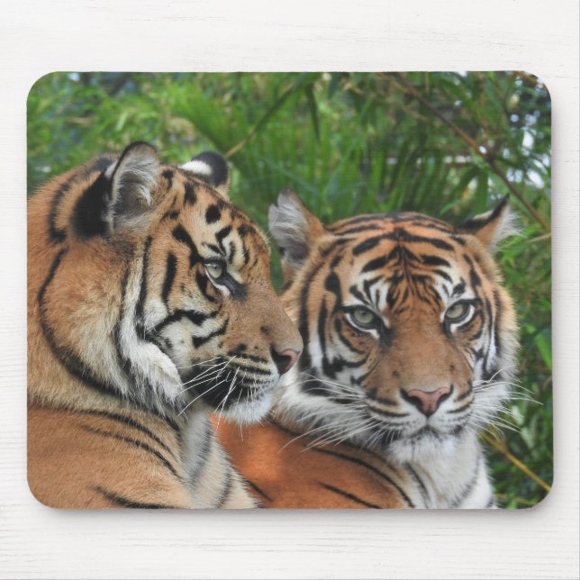 Sumatran Tigers Mouse Mat (Front)
