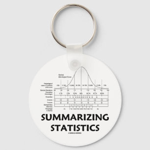 Summarising Statistics Key Ring