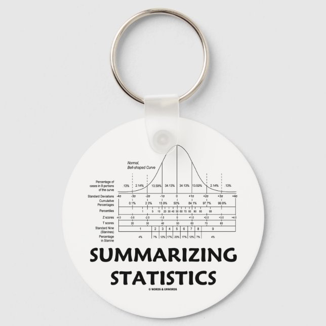 Summarising Statistics Key Ring (Front)