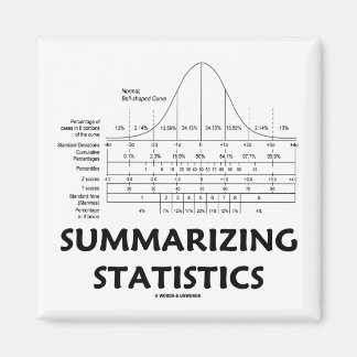 Summarising Statistics Magnet