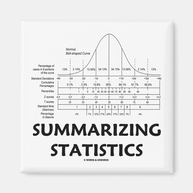 Summarising Statistics Magnet (Front)