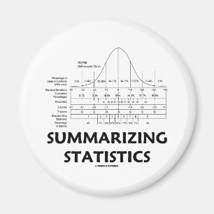 Summarising Statistics Magnet