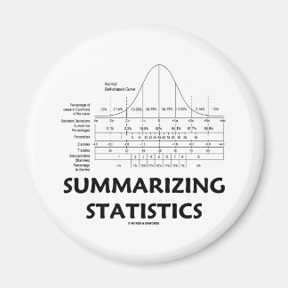 Summarising Statistics Magnet