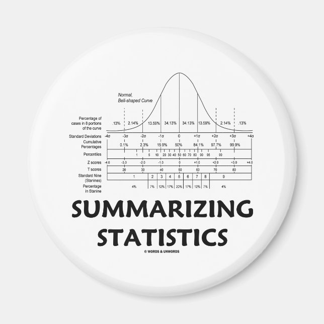 Summarising Statistics Magnet (Front)
