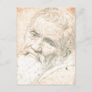 Summary This is a special Portrait of Michelangelo Postcard